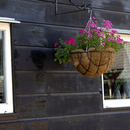 De Schaapskooi - Knus Veluws Vakantiehuisje Ede Zewnętrze zdjęcie